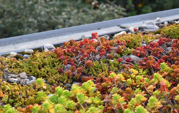 the cost of Priestacott green roof installation