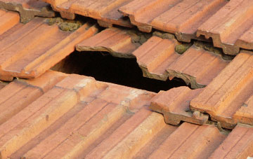 roof repair Priestacott, Devon