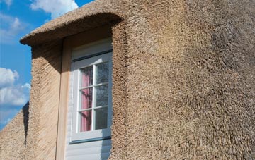 Priestacott thatch roof disadvantages